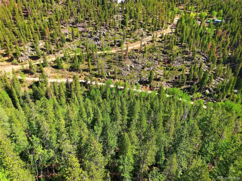 600 Ute Creek Road Idaho Springs CO 80452