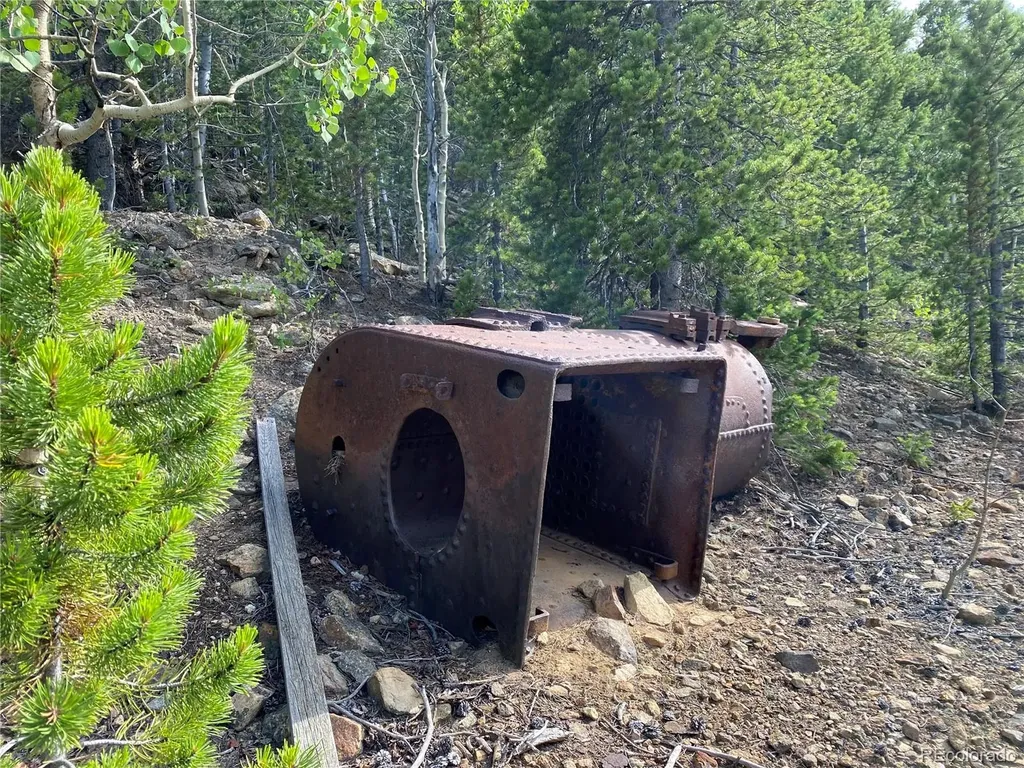 01 Nevadaville Road Central City CO 80427