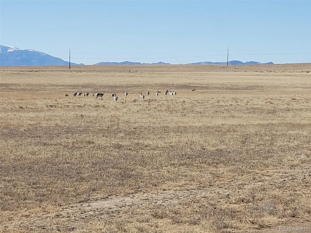 7510 Cowboy Ranch View Peyton CO 80831
