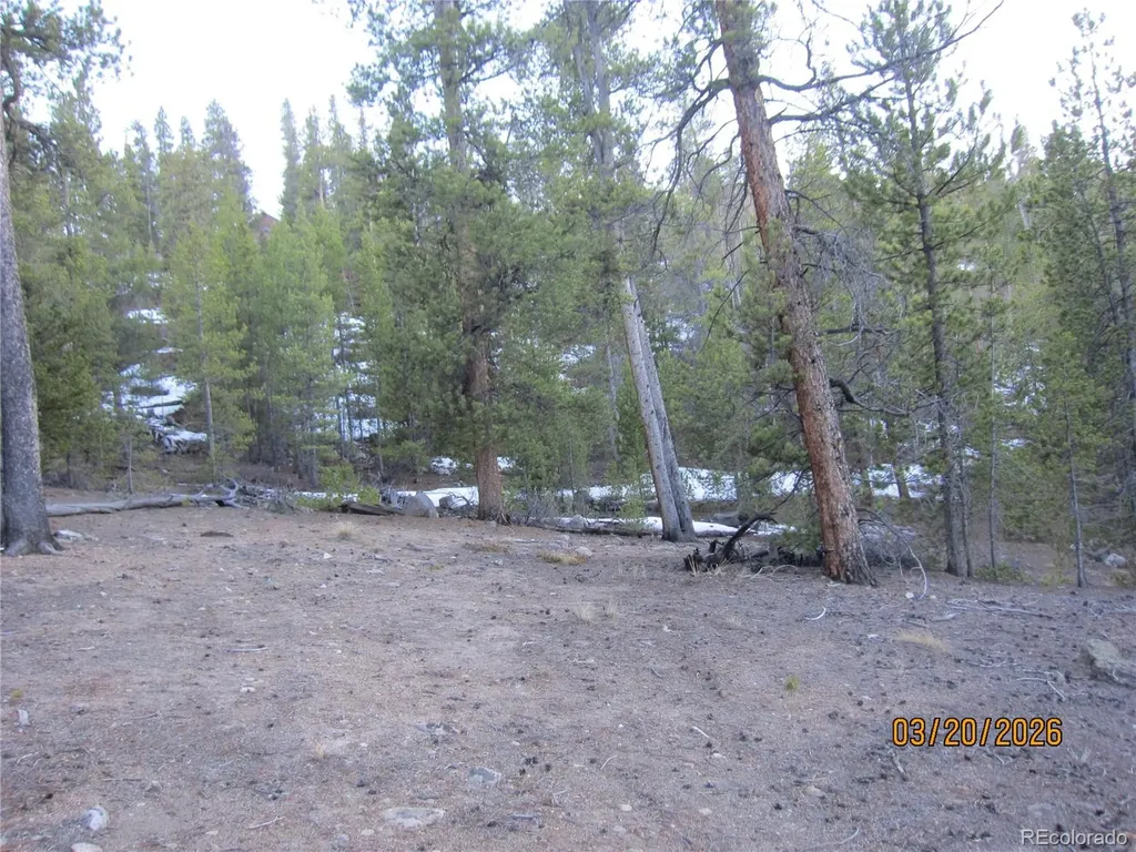 446 Mt Massive Drive Twin Lakes CO 81251