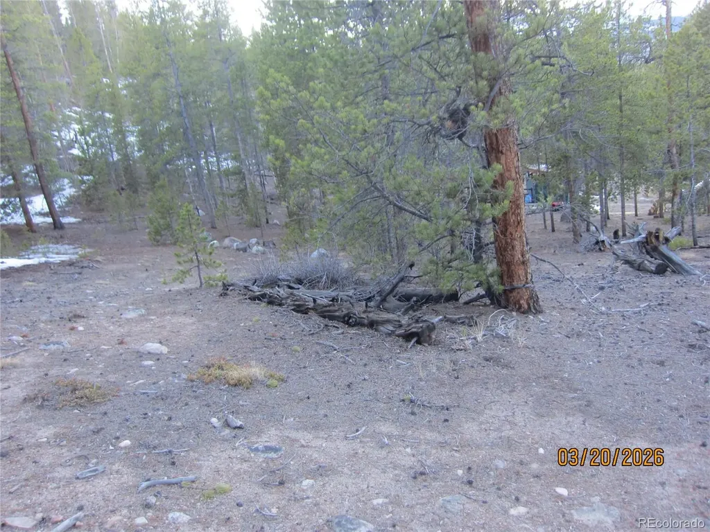 446 Mt Massive Drive Twin Lakes CO 81251