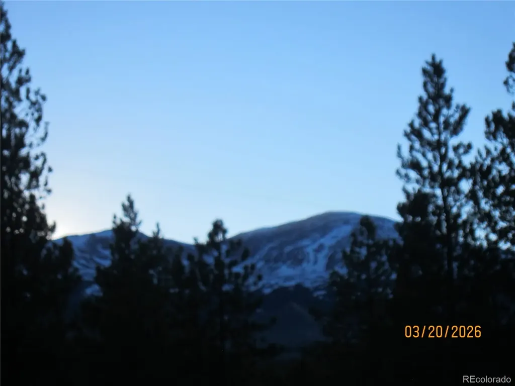 446 Mt Massive Drive Twin Lakes CO 81251