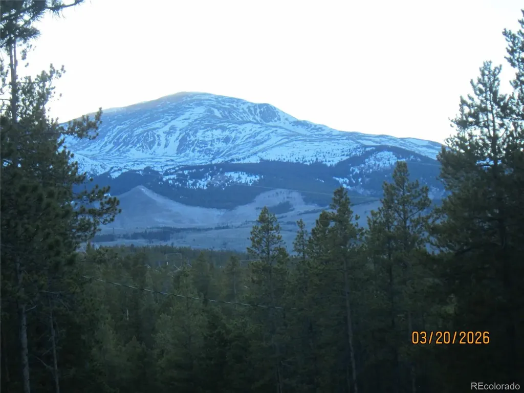 446 Mt Massive Drive Twin Lakes CO 81251