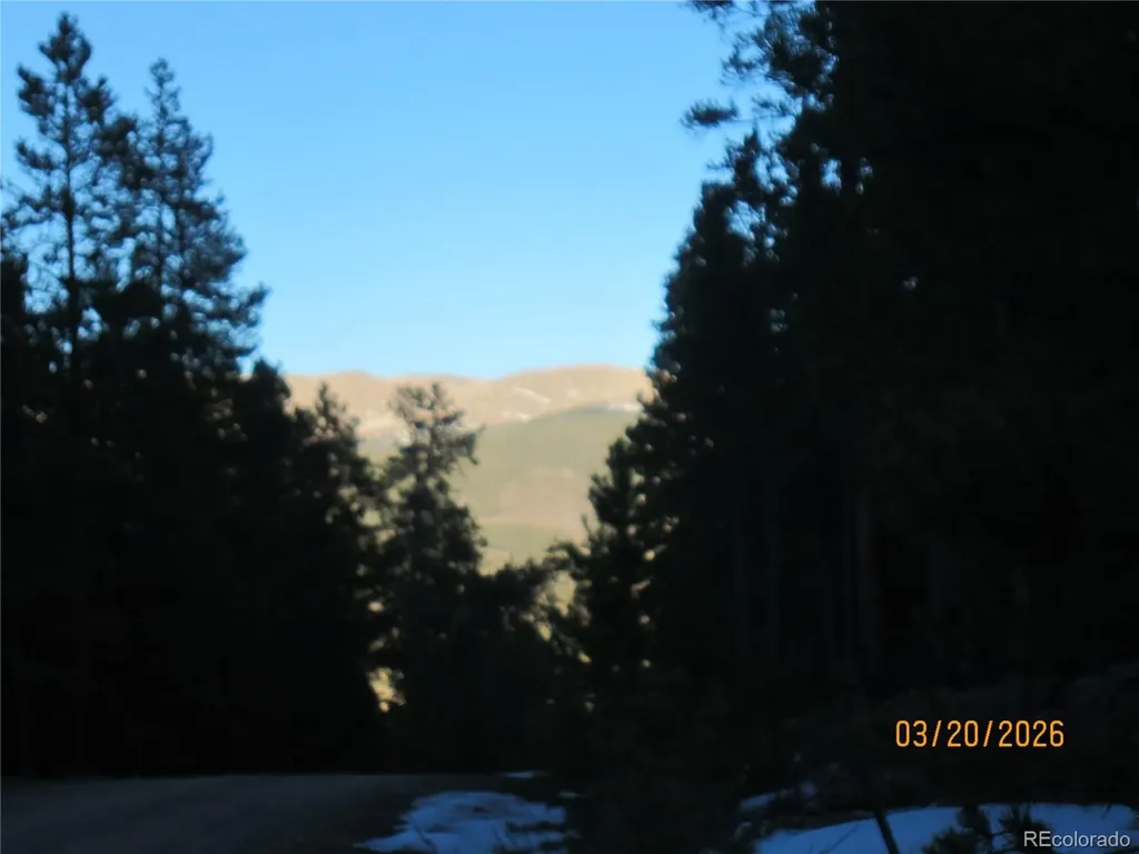 446 Mt Massive Drive Twin Lakes CO 81251