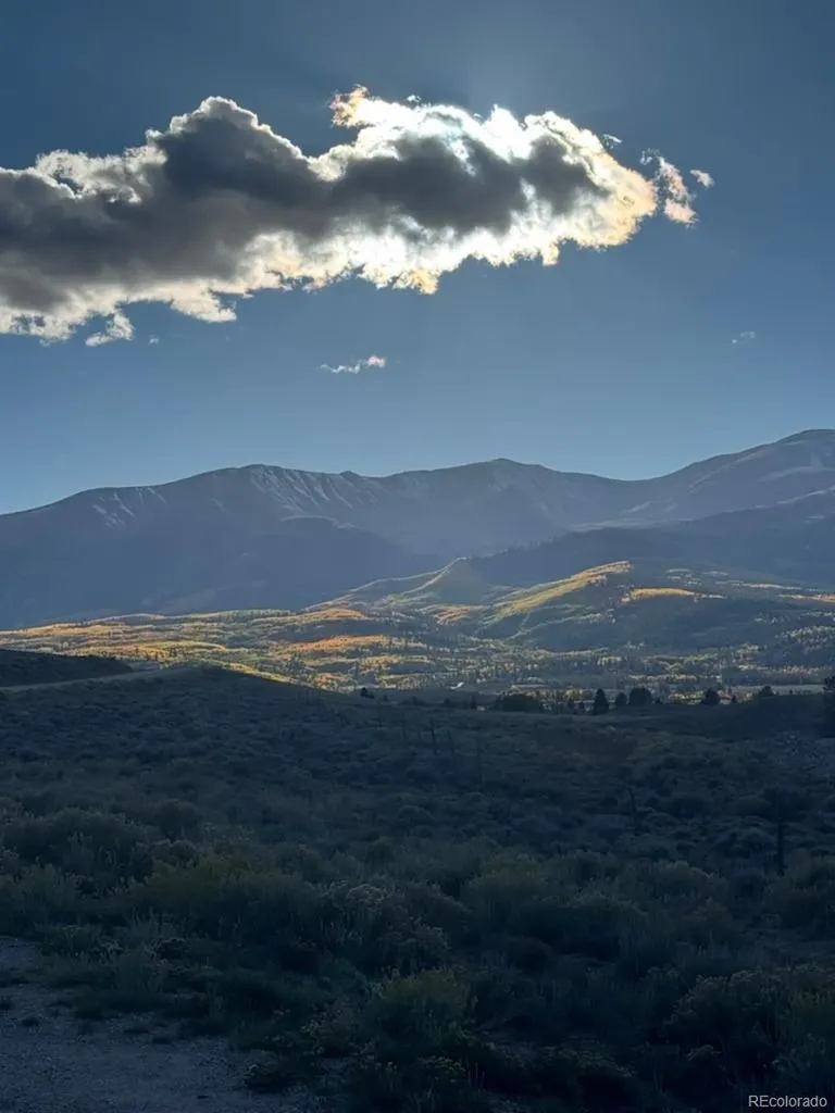 446 Mt Massive Drive Twin Lakes CO 81251