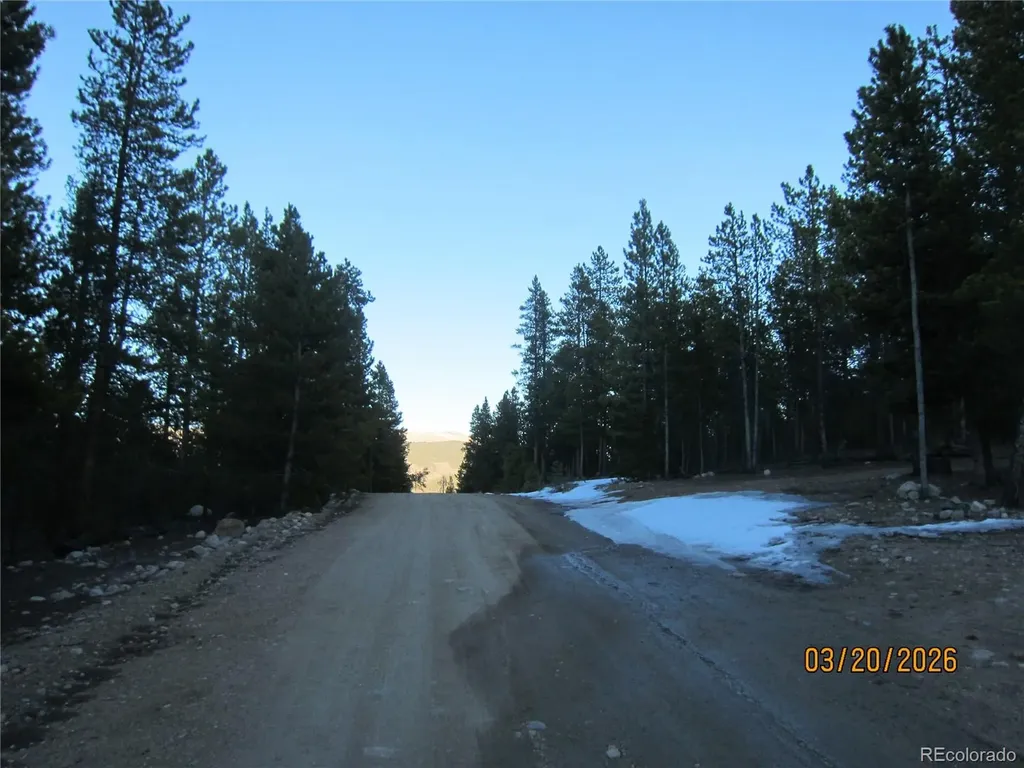 446 Mt Massive Drive Twin Lakes CO 81251