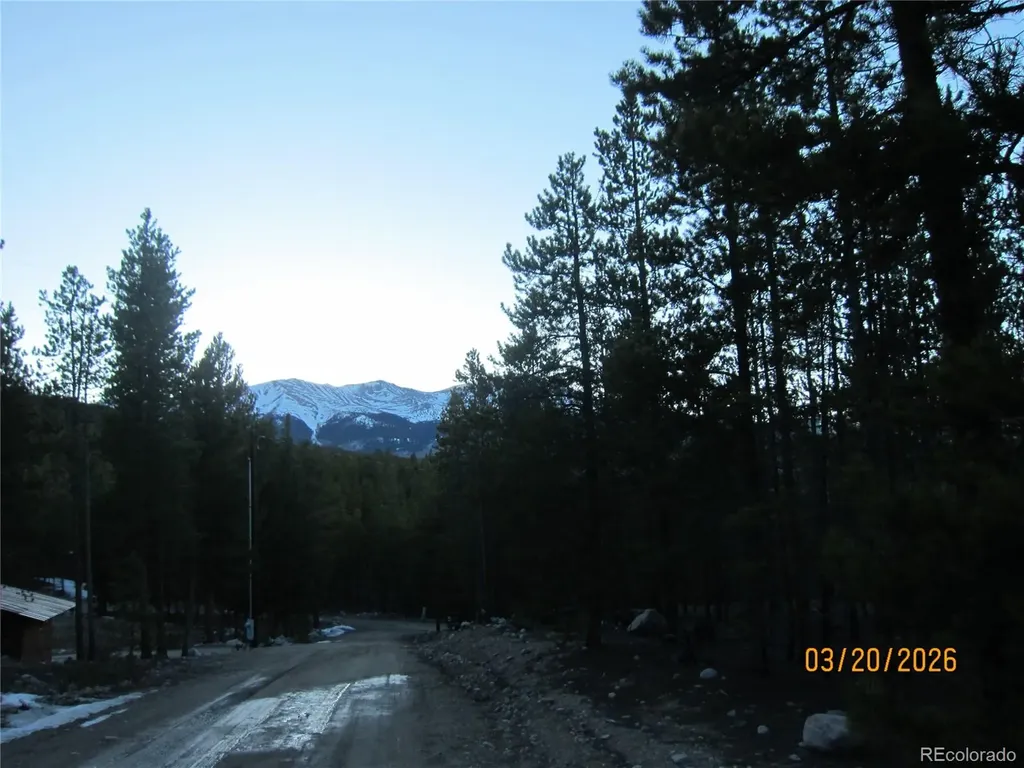 446 Mt Massive Drive Twin Lakes CO 81251
