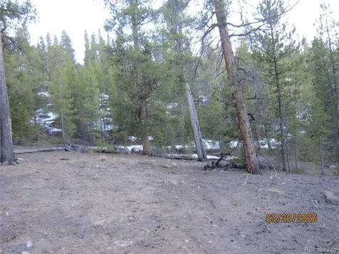 446 Mt Massive Drive Twin Lakes CO 81251