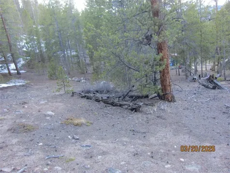 446 Mt Massive Drive Twin Lakes CO 81251