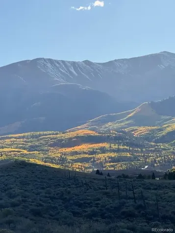446 Mt Massive Drive Twin Lakes CO 81251