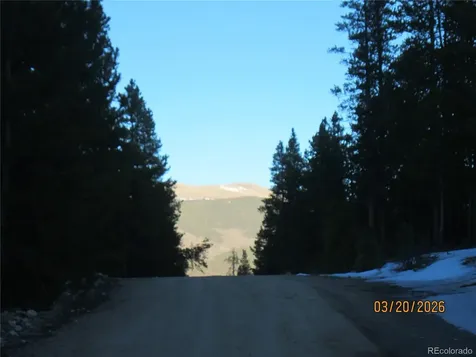 446 Mt Massive Drive Twin Lakes CO 81251