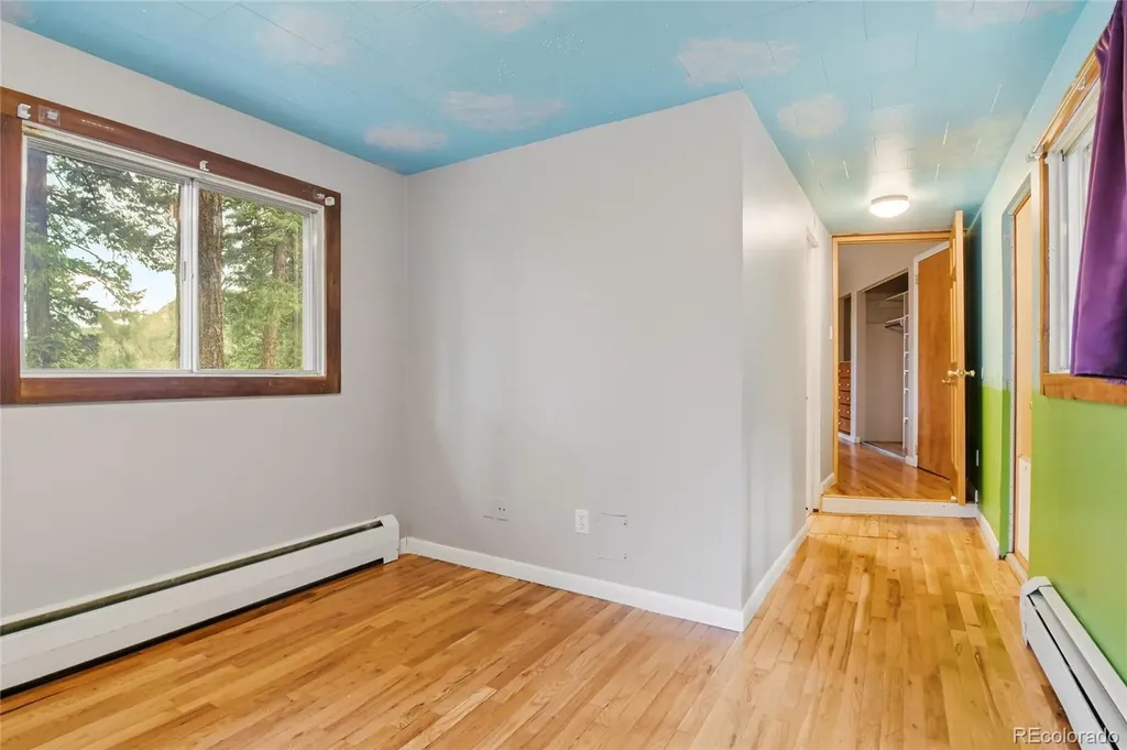 6178 S Skyline Drive Evergreen CO 80439