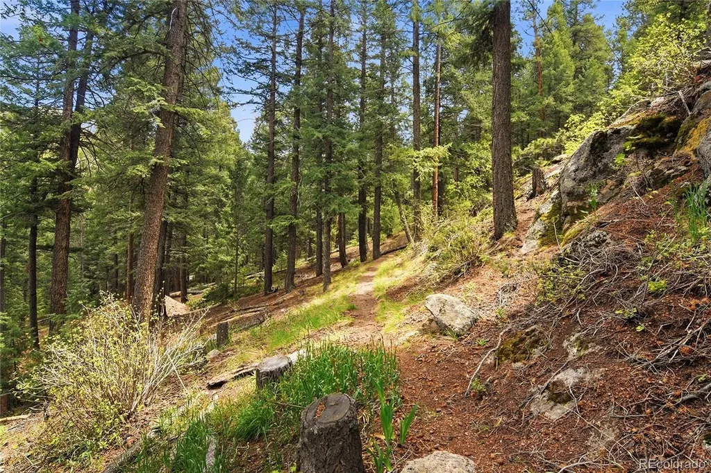 6178 S Skyline Drive Evergreen CO 80439