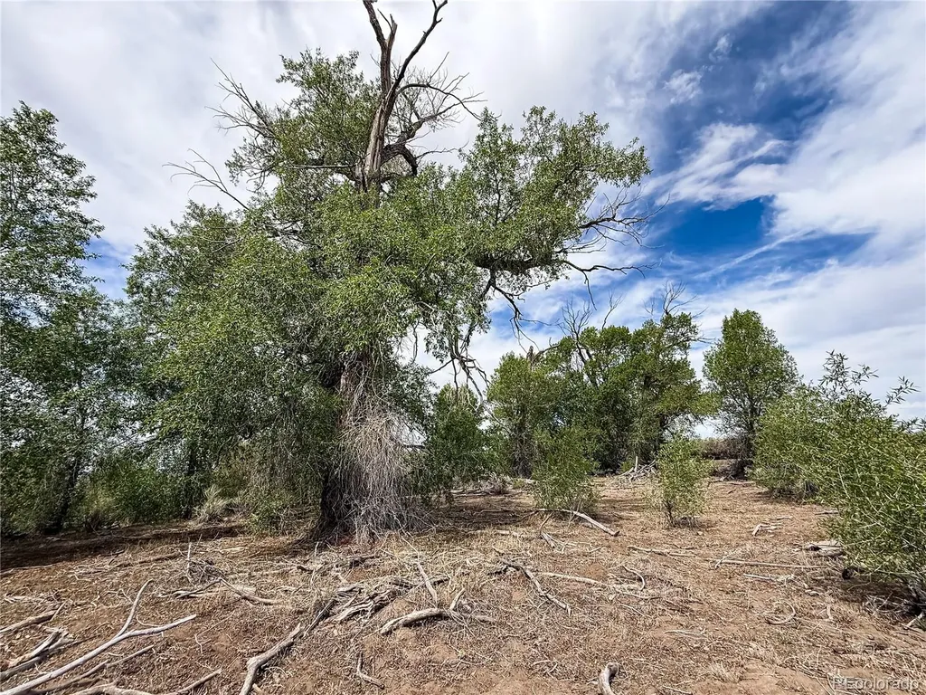 483 River Ranch Road Antonito CO 81120