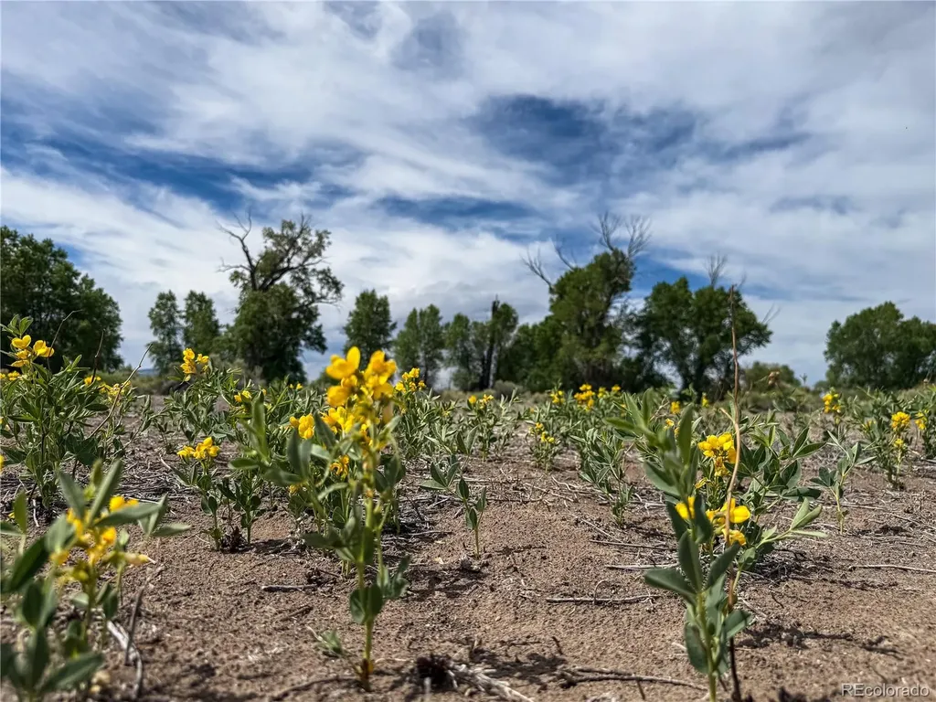 483 River Ranch Road Antonito CO 81120
