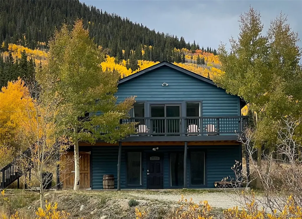 141 Quartzville Road Alma CO 80420