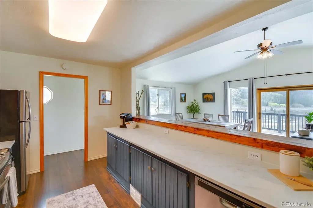 141 Quartzville Road Alma CO 80420