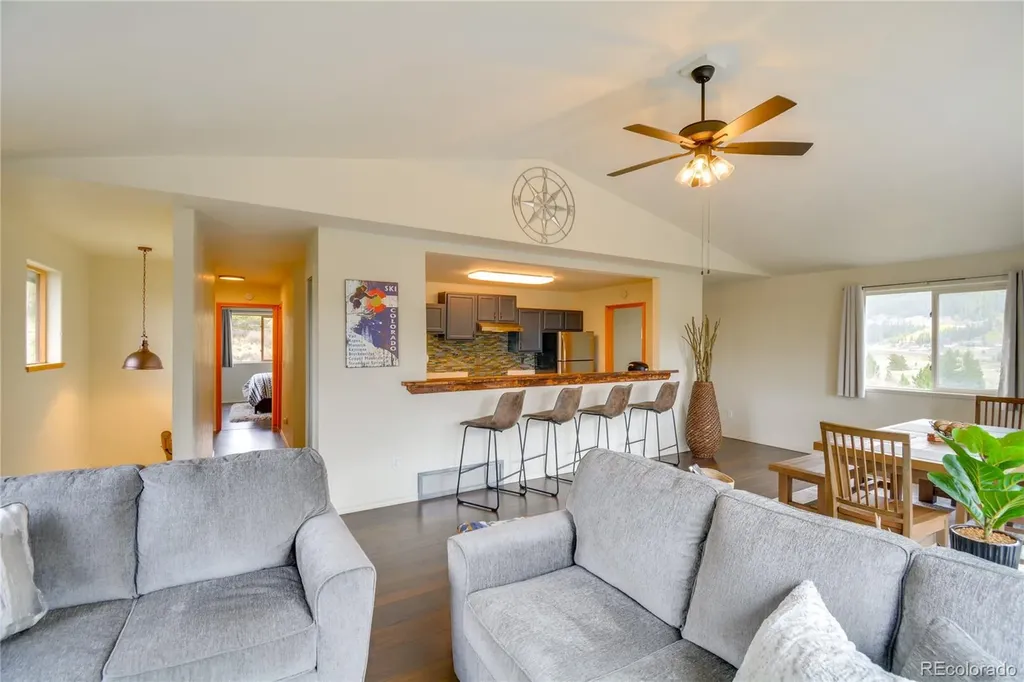 141 Quartzville Road Alma CO 80420