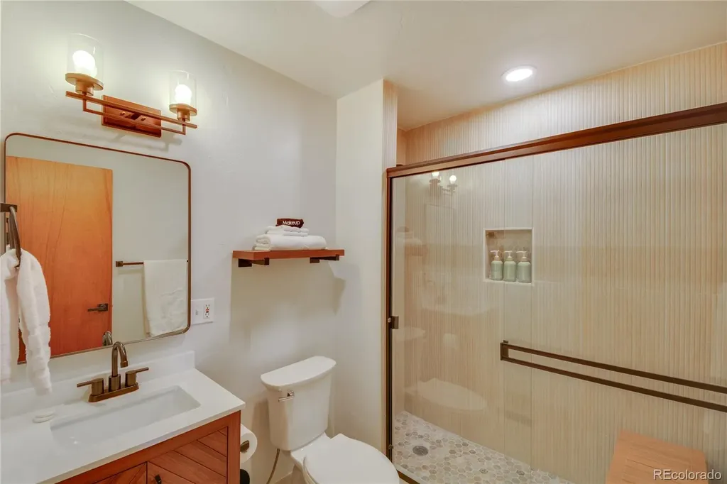 141 Quartzville Road Alma CO 80420