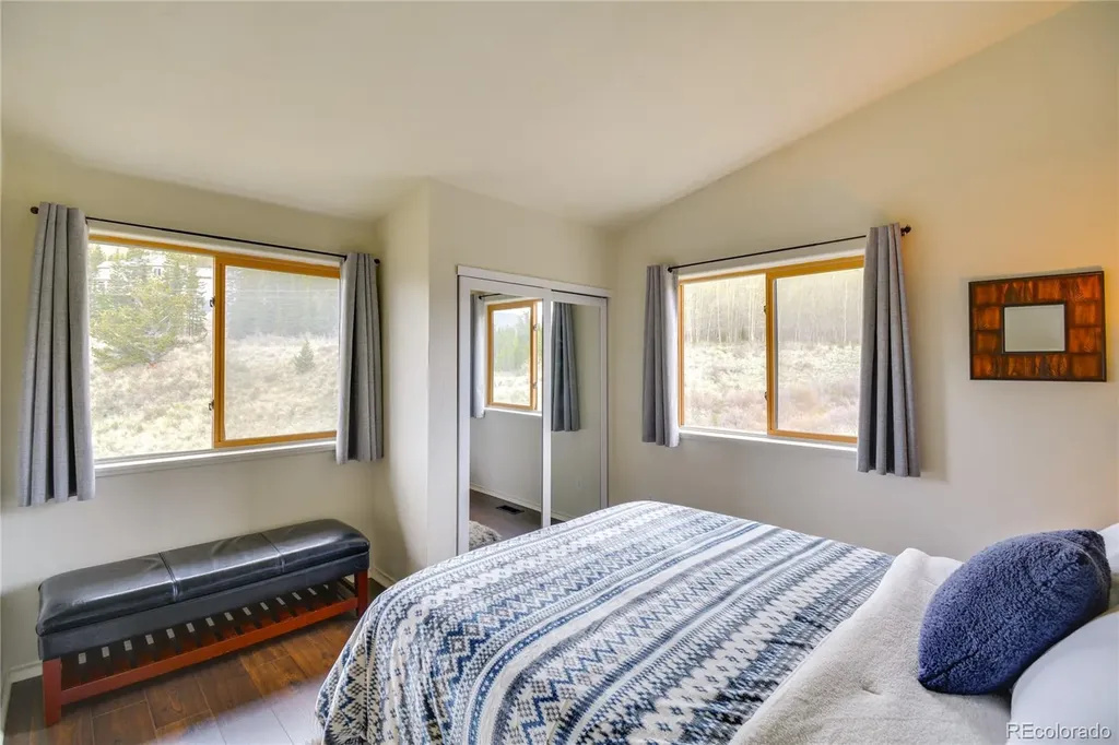 141 Quartzville Road Alma CO 80420