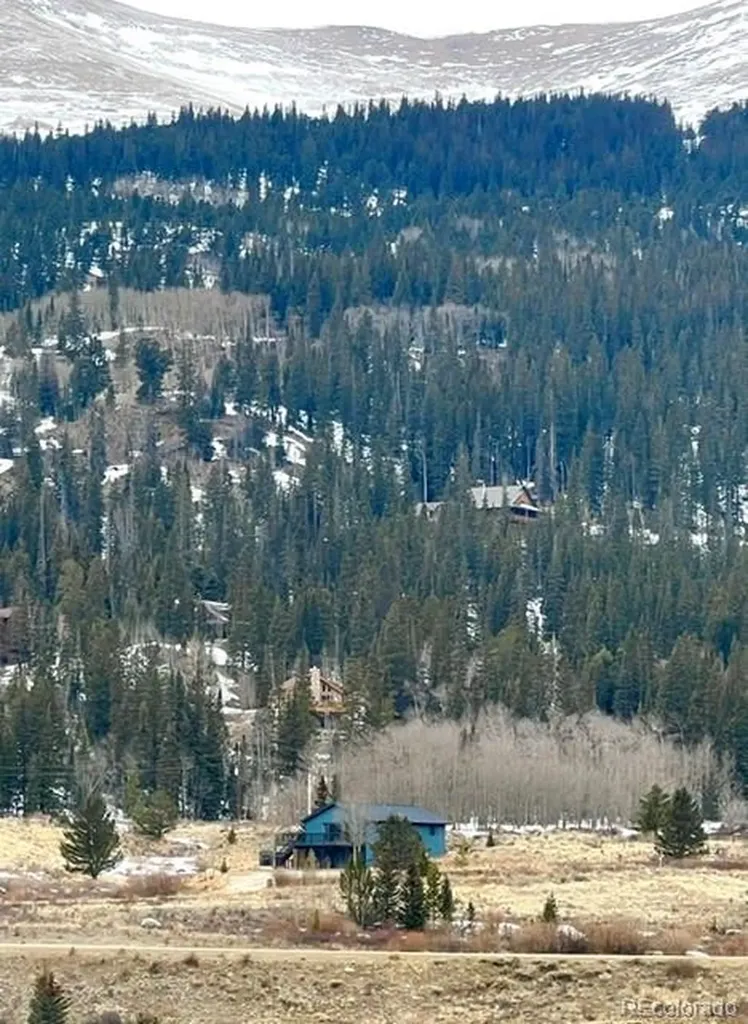 141 Quartzville Road Alma CO 80420