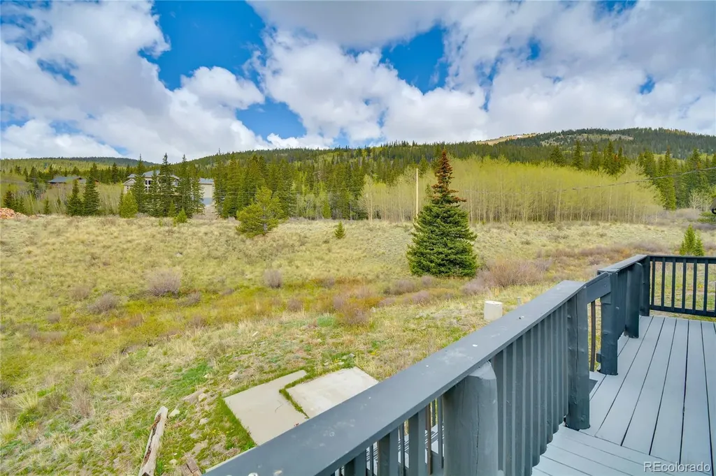 141 Quartzville Road Alma CO 80420
