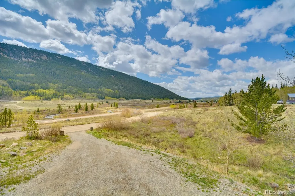 141 Quartzville Road Alma CO 80420