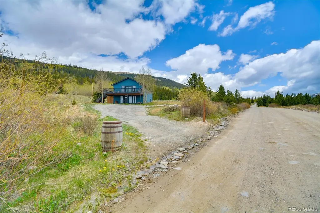 141 Quartzville Road Alma CO 80420