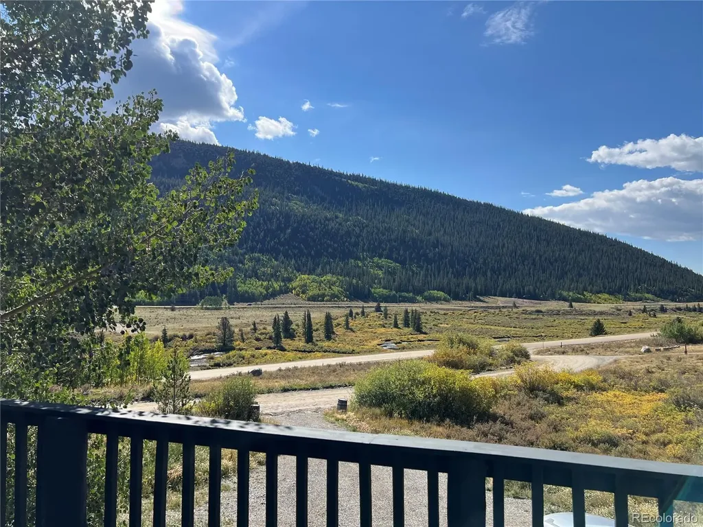 141 Quartzville Road Alma CO 80420