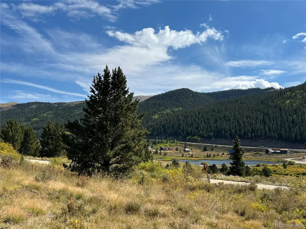 141 Quartzville Road Alma CO 80420