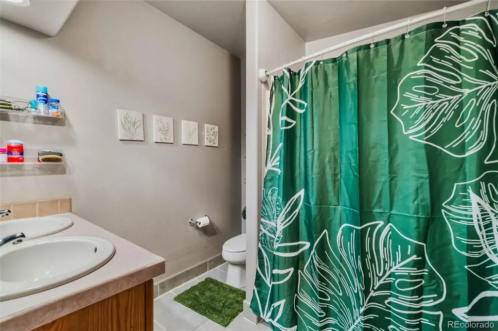 875 Trout Creek Drive Fairplay CO 80440