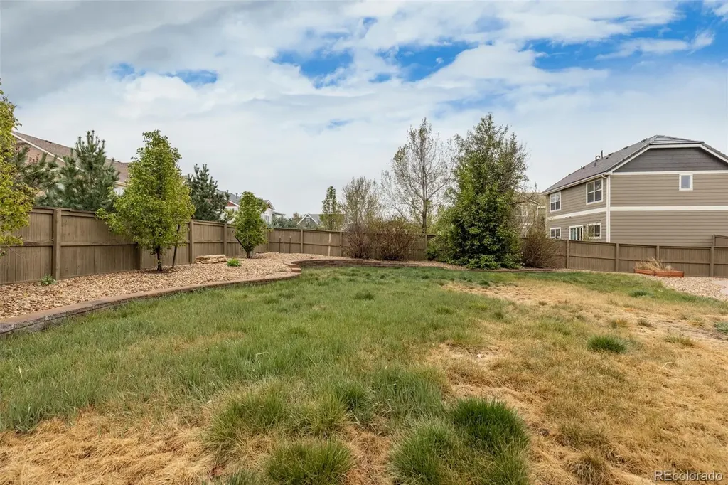 218 Ardmore Street Castle Rock CO 80104