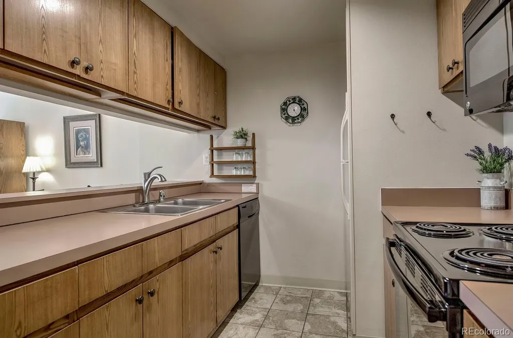 22097 Saints John Road Dillon CO 80435