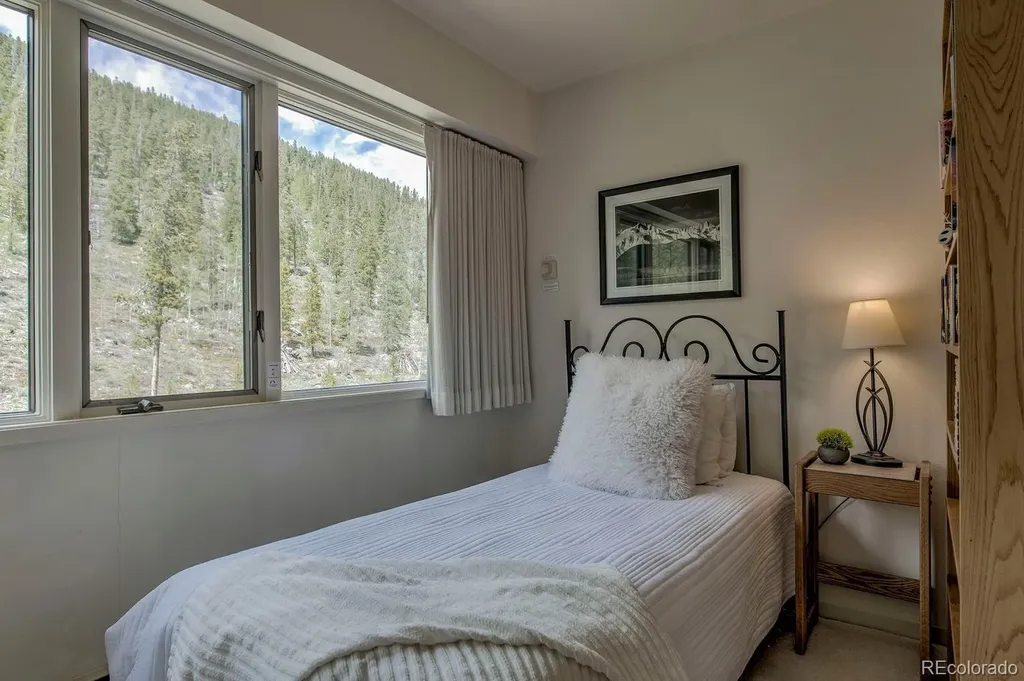 22097 Saints John Road Dillon CO 80435