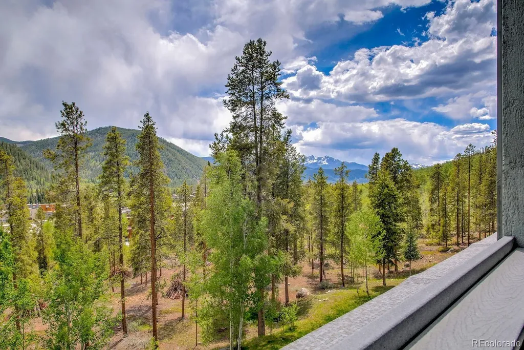 22097 Saints John Road Dillon CO 80435