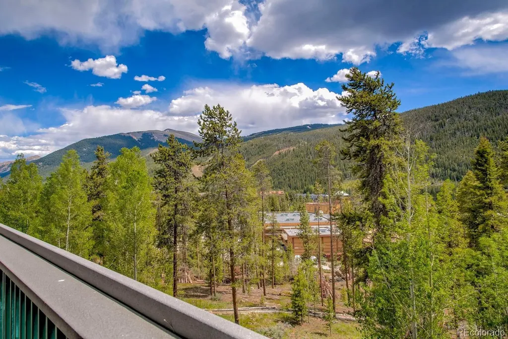 22097 Saints John Road Dillon CO 80435