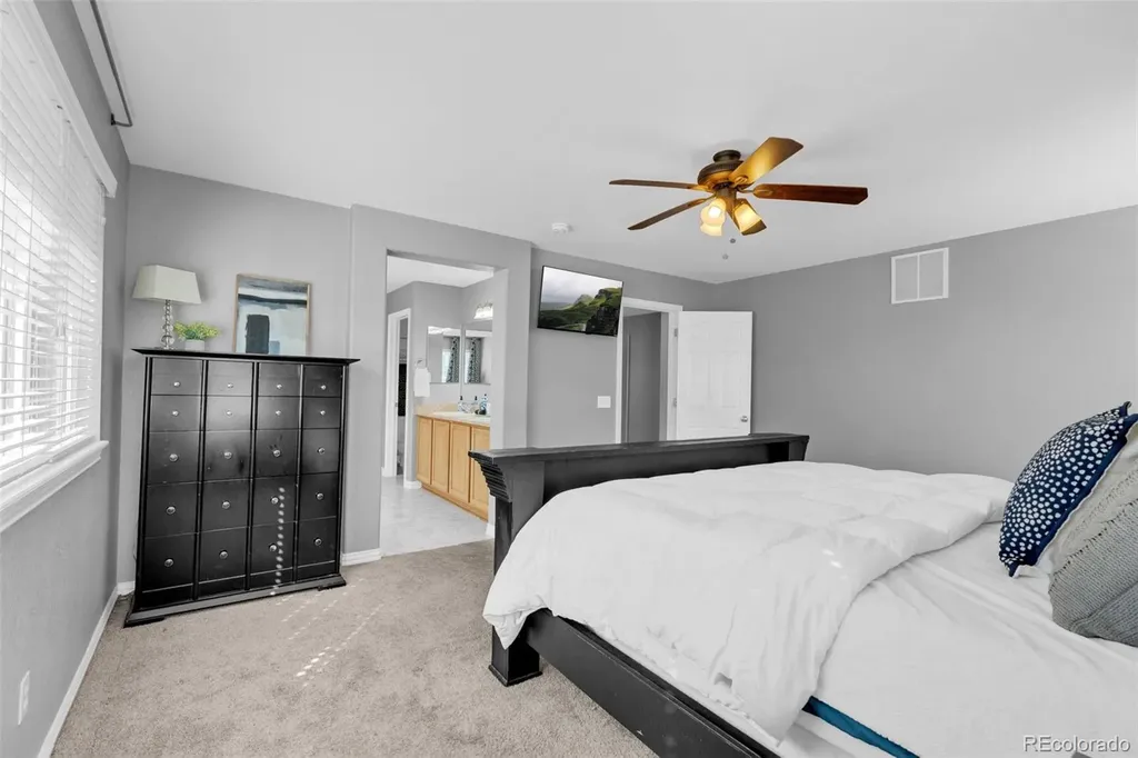 3623 Desert Ridge Place Castle Rock CO 80108