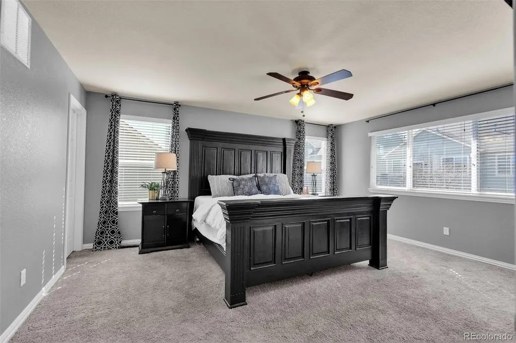 3623 Desert Ridge Place Castle Rock CO 80108