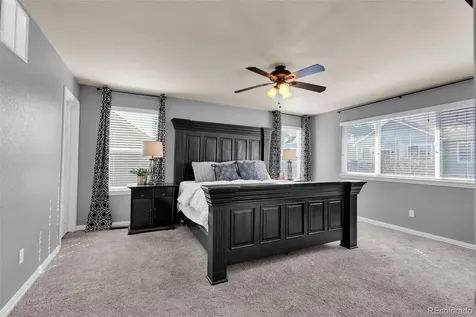 3623 Desert Ridge Place Castle Rock CO 80108