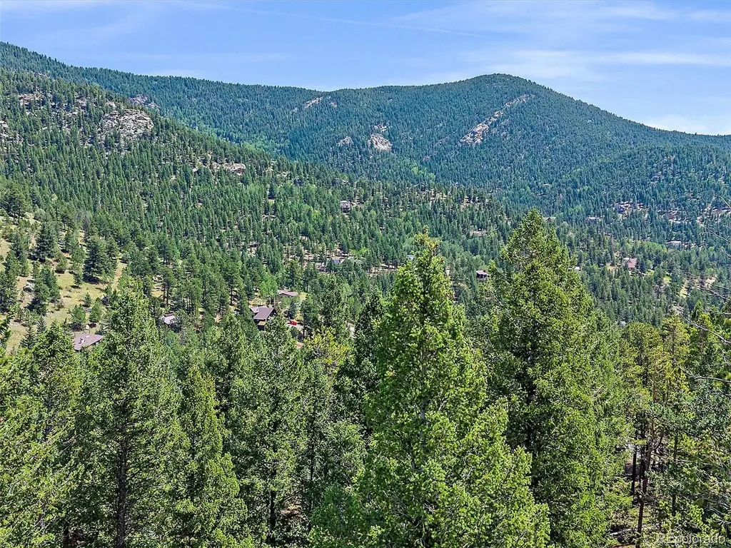 254 Juniper Lane Evergreen CO 80439