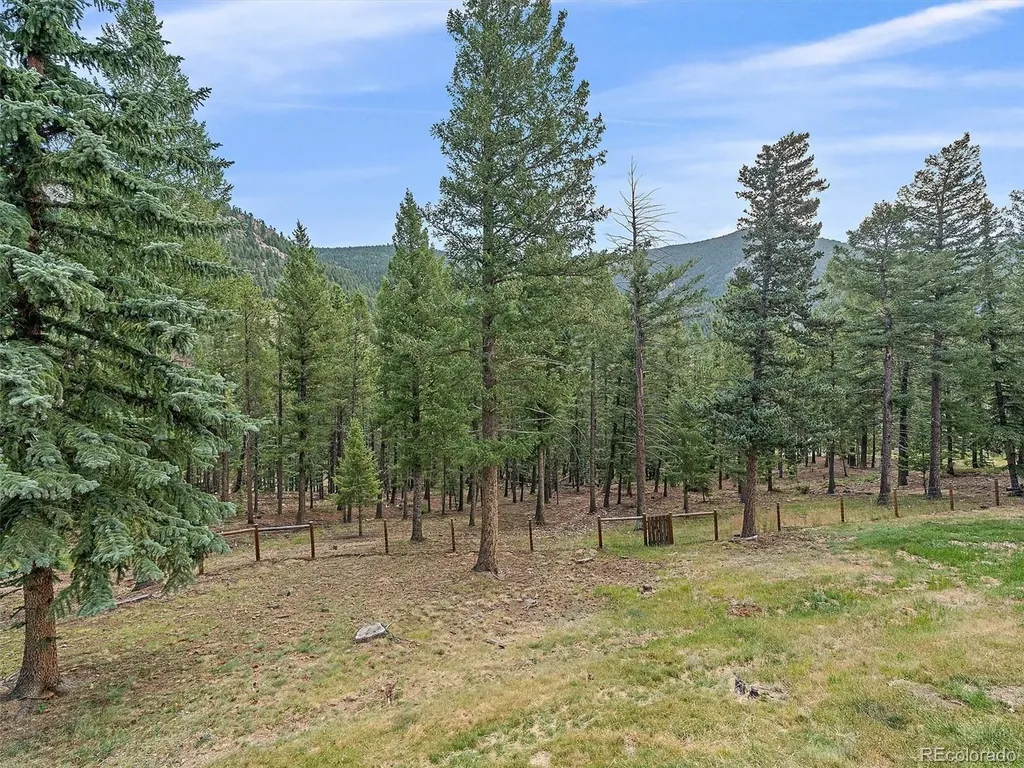 254 Juniper Lane Evergreen CO 80439