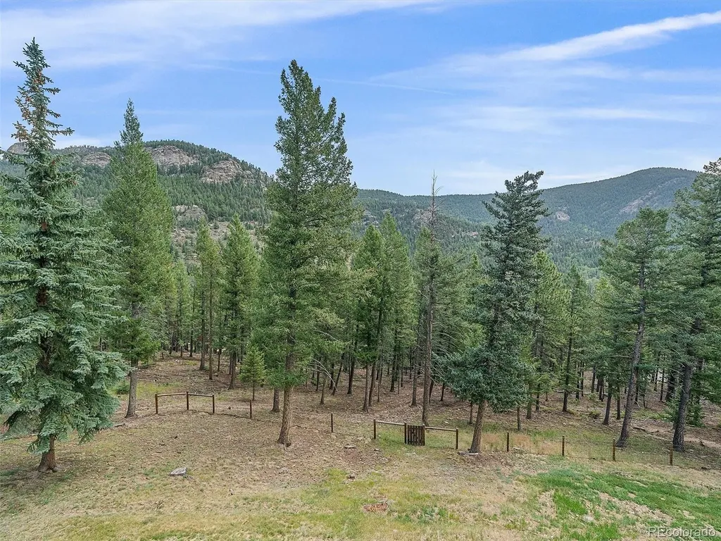 254 Juniper Lane Evergreen CO 80439