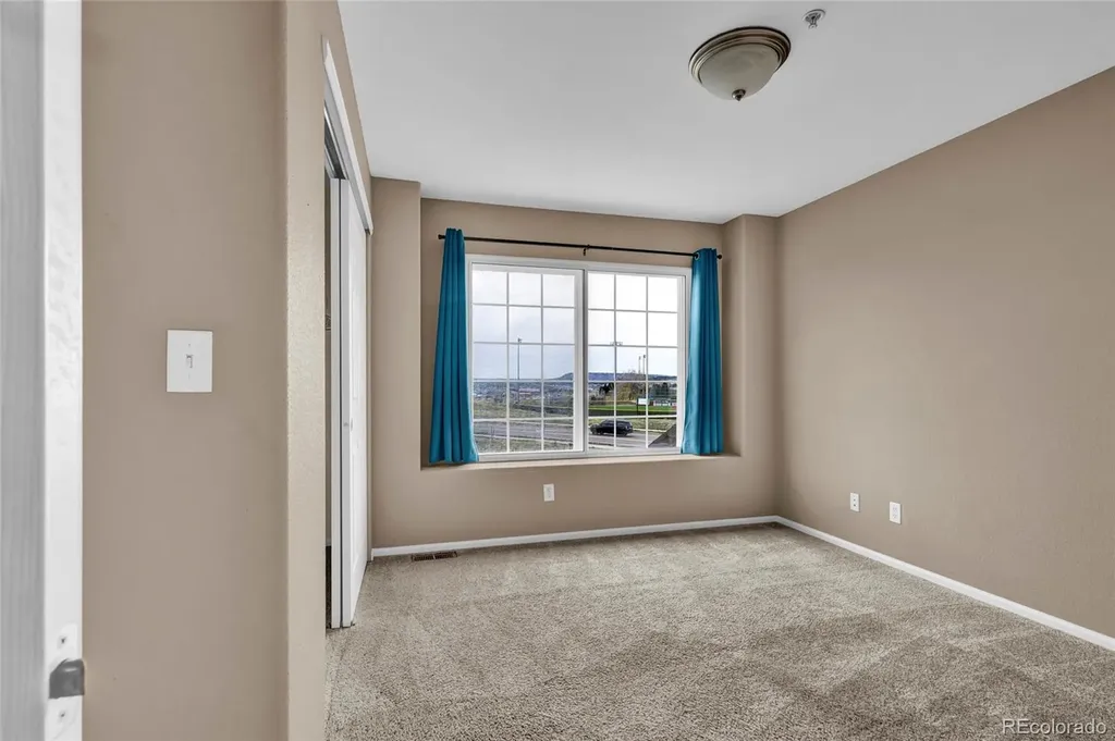 488 Black Feather Loop Castle Rock CO 80104