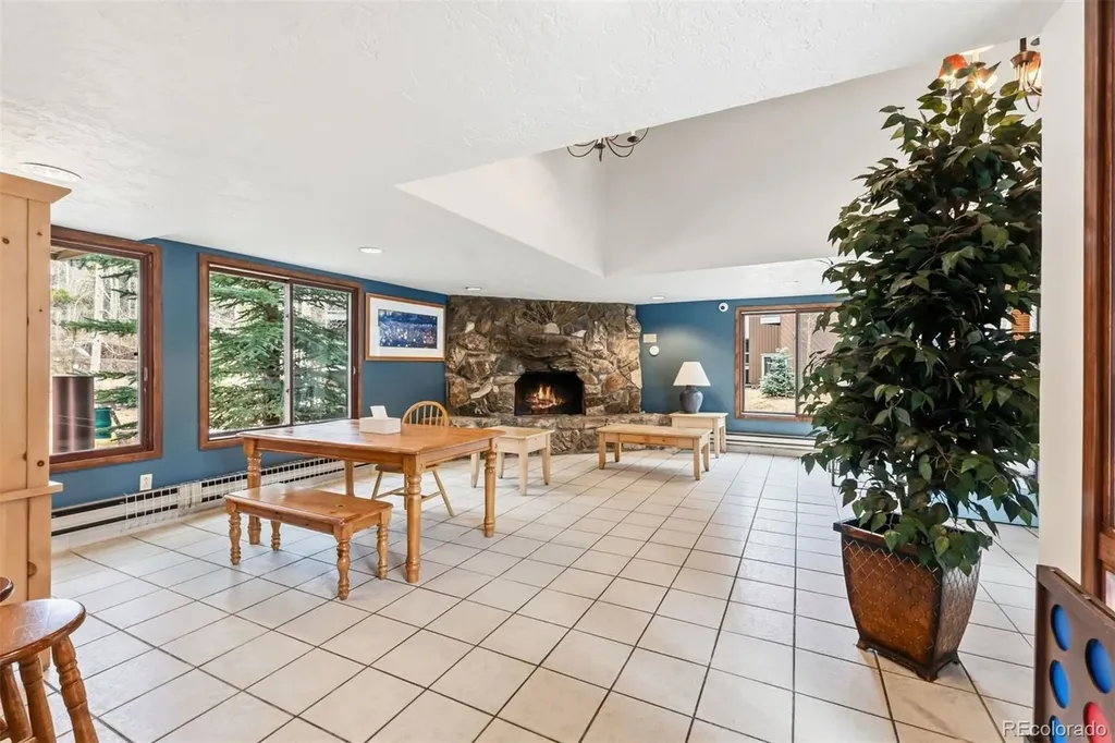 423 Wild Irishman Road Dillon CO 80435