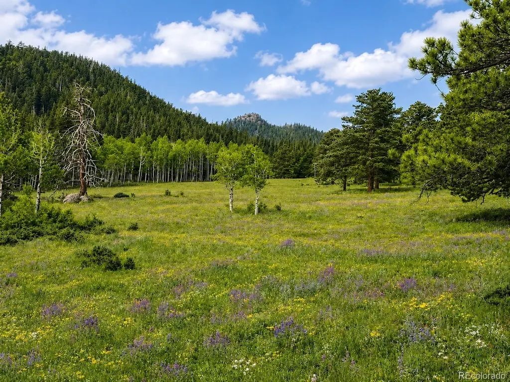 1001 County Road 86 Red Feather Lakes CO 80545
