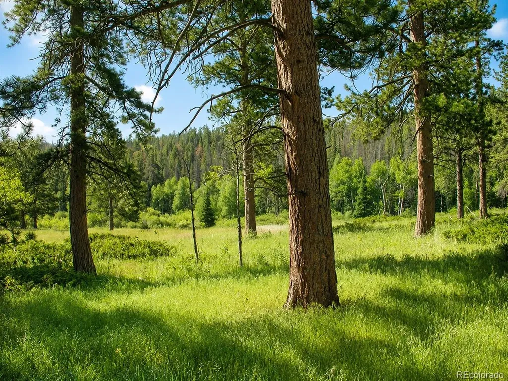 1001 County Road 86 Red Feather Lakes CO 80545