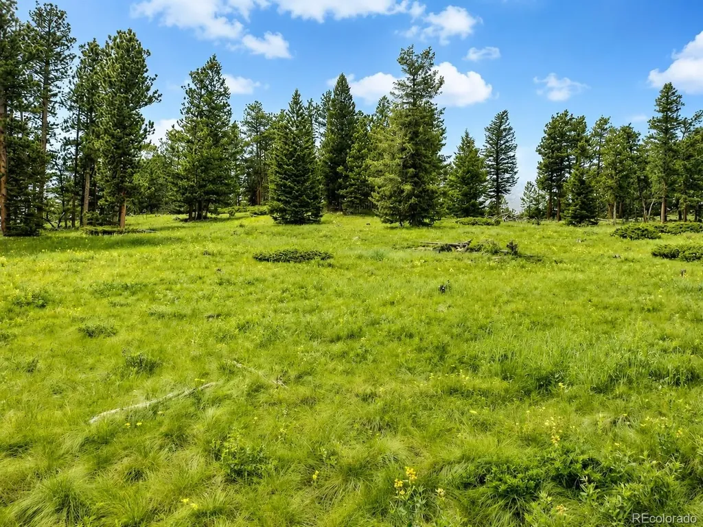 1001 County Road 86 Red Feather Lakes CO 80545