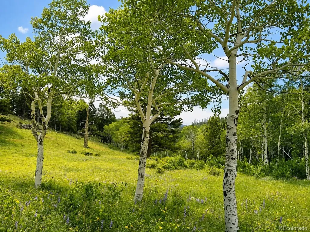 1001 County Road 86 Red Feather Lakes CO 80545