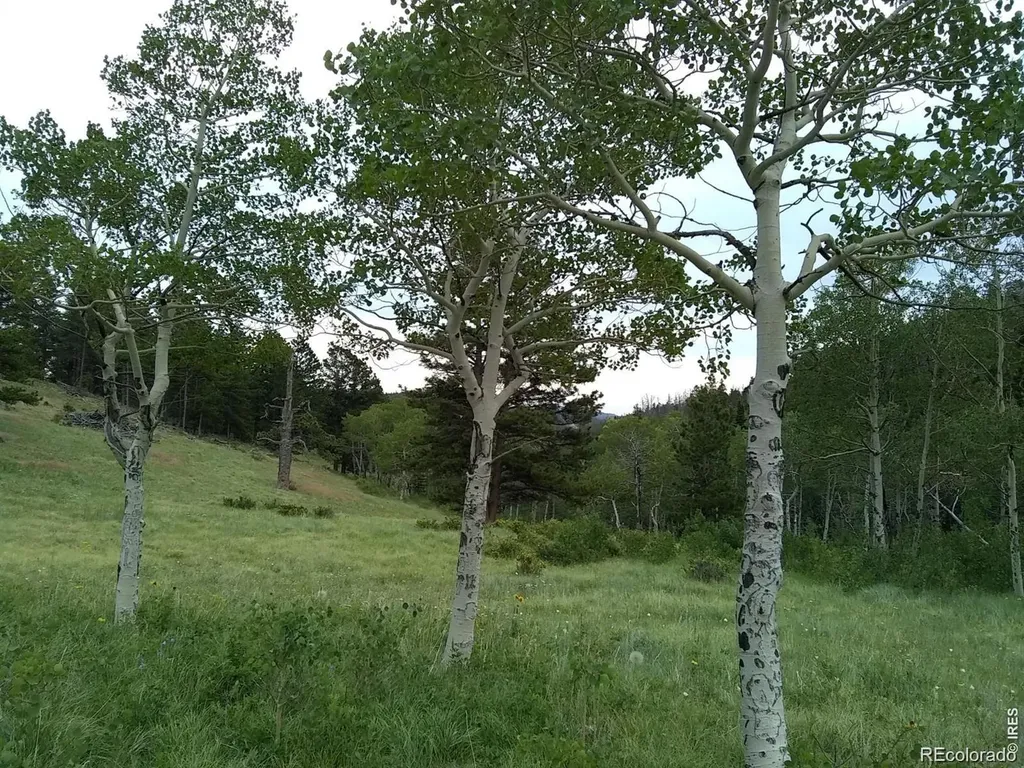 1001 County Road 86 Red Feather Lakes CO 80545