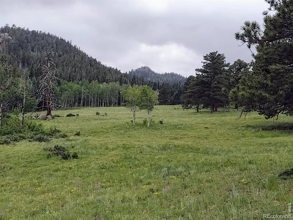 1001 County Road 86 Red Feather Lakes CO 80545
